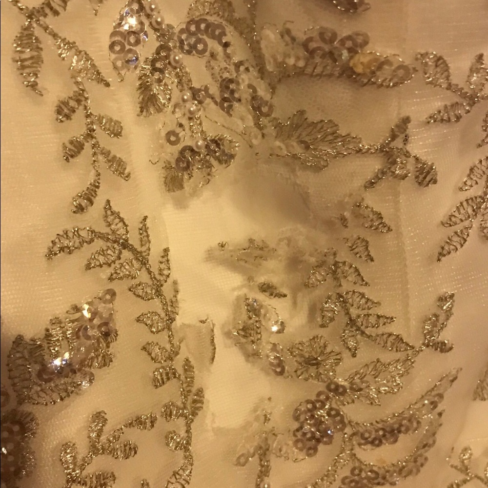 David’s bridal plus size wedding dress - Picture 3 of 6